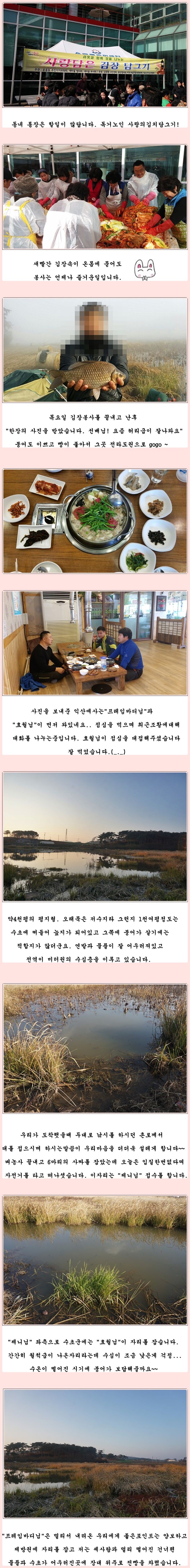 cats (2)-vert-vert.jpg