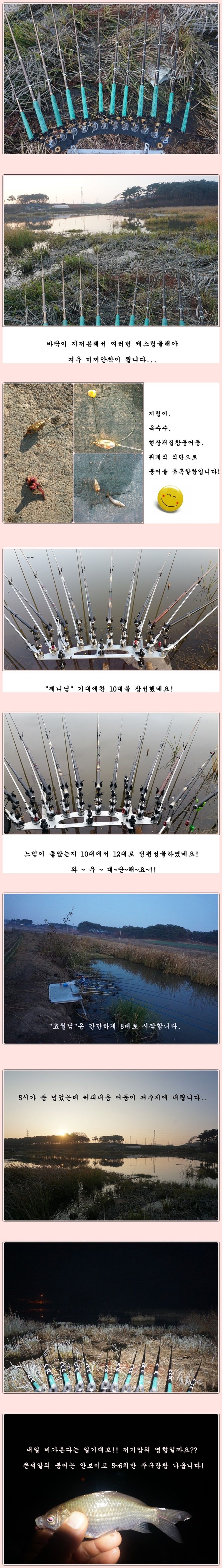 cats (11)-vert-vert.jpg