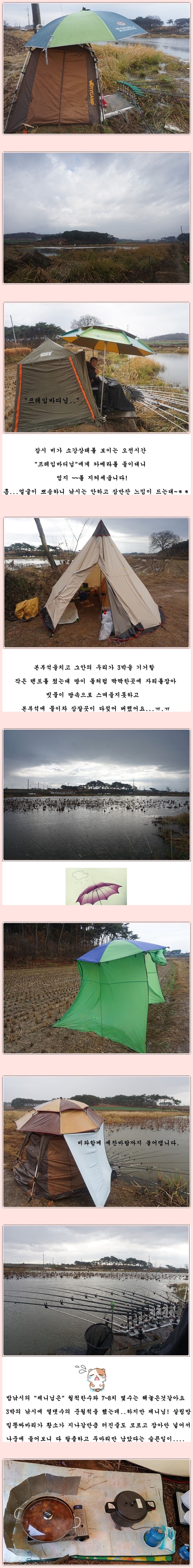 cats (29)-vert-vert.jpg