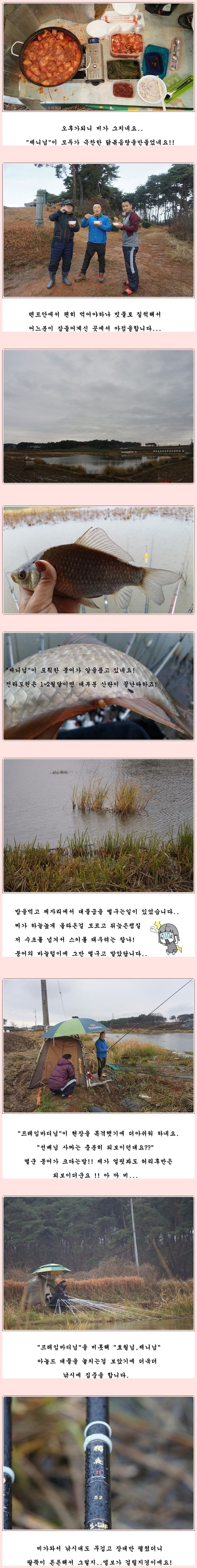 cats (38)-vert-vert.jpg