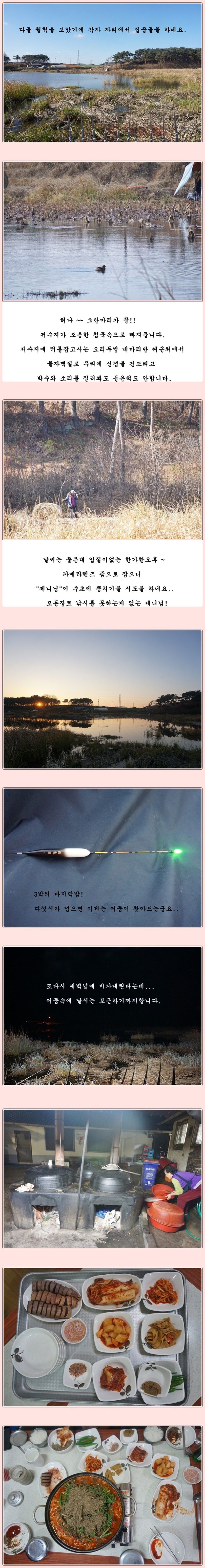 cats (84)-vert-vert.jpg