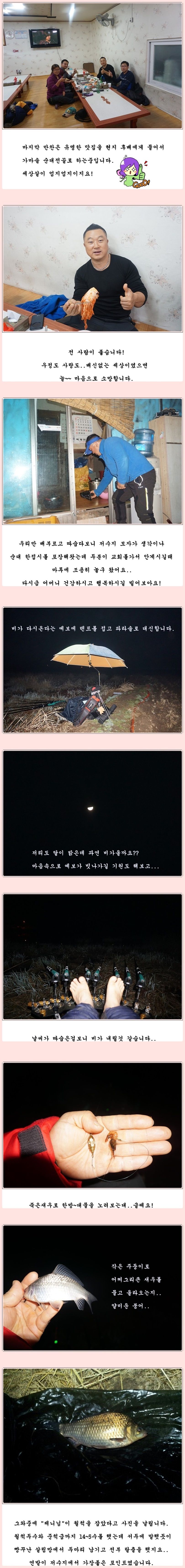 cats (93)-vert-vert.jpg