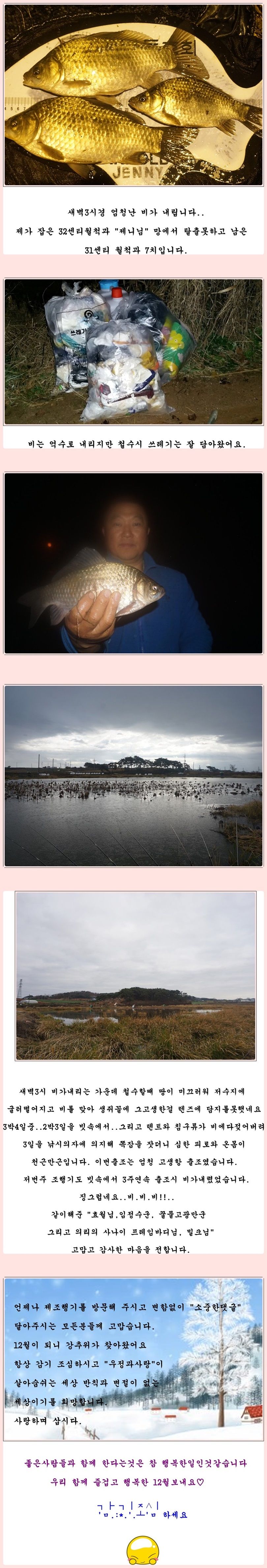 cats (102)-vert-vert.jpg