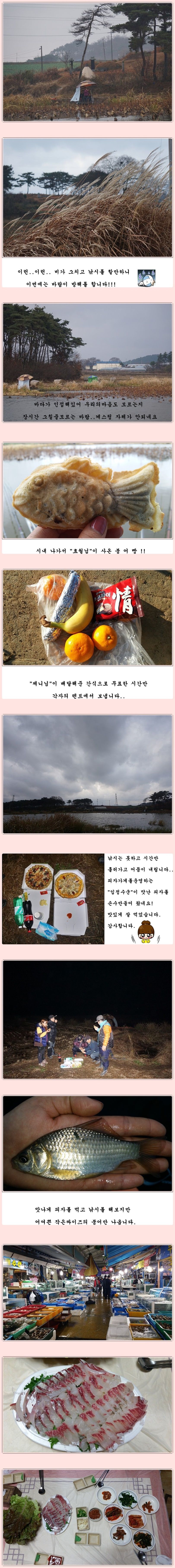 cats (47)-vert-vert.jpg