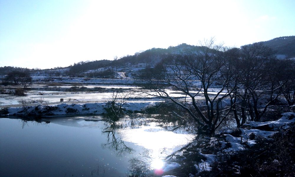 2014-12-06 14.59.13.jpg