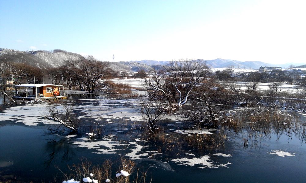 2014-12-06 14.59.26.jpg