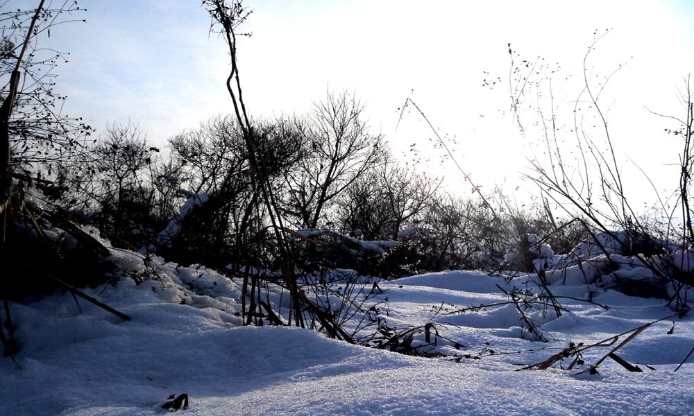 2014-12-07 08.58.47.jpg