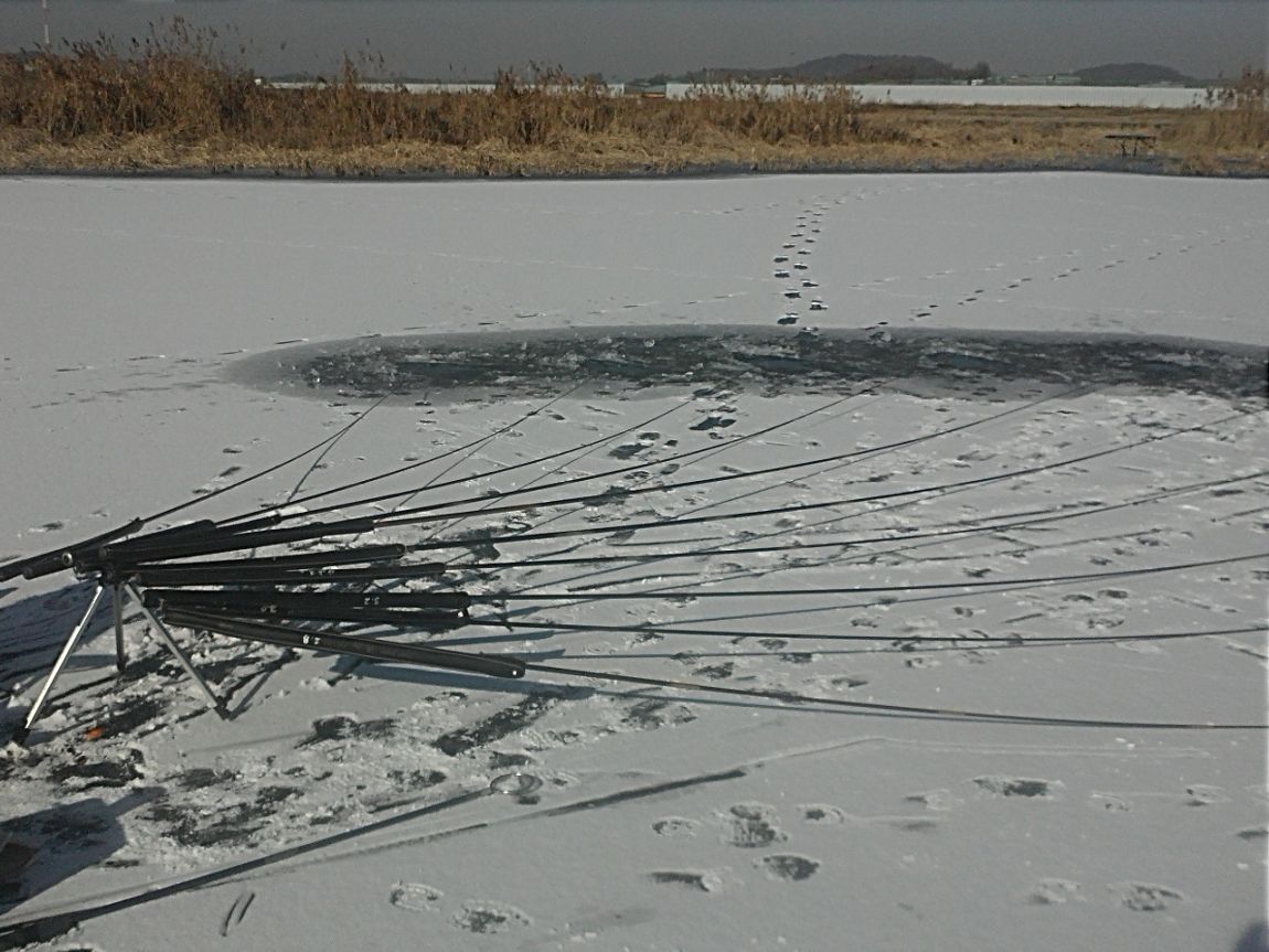 IMG3080.jpg