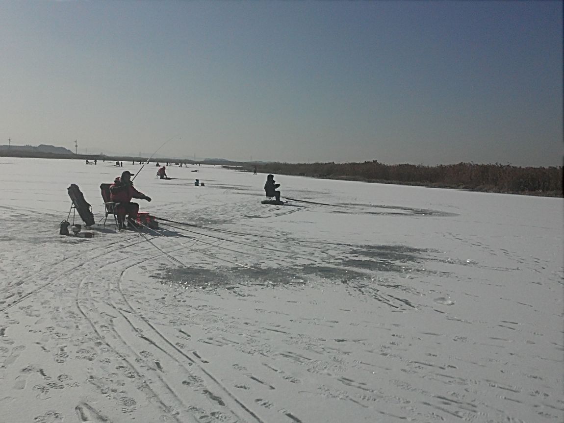IMG3086.jpg