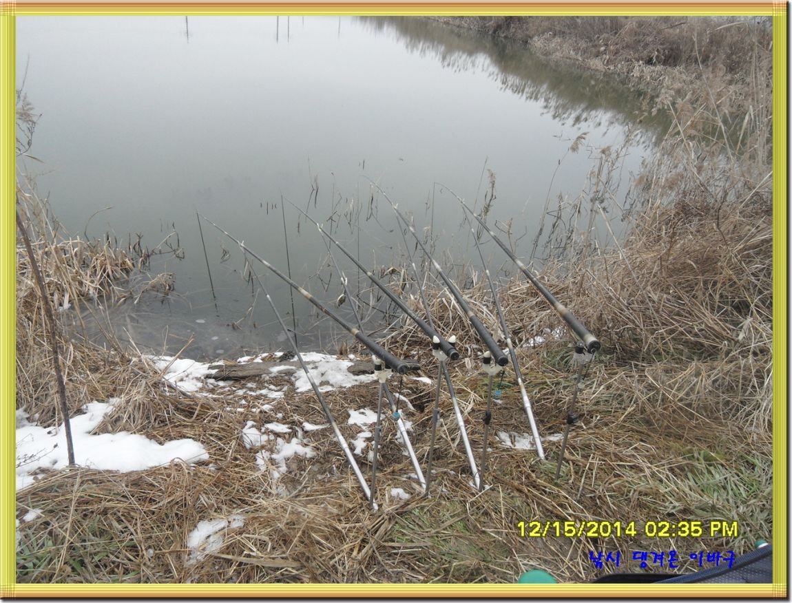 ٹ̱_SDC10479.jpg
