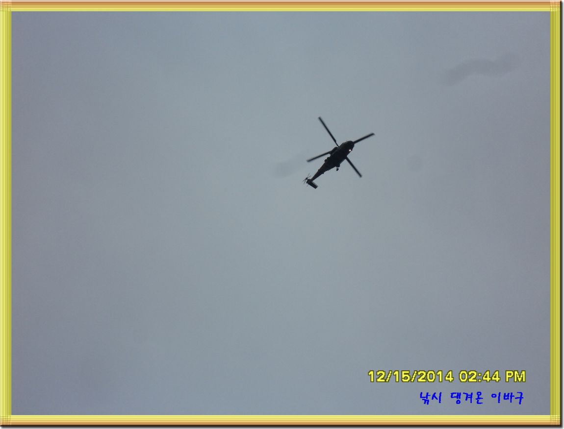 ٹ̱_SDC10484.jpg