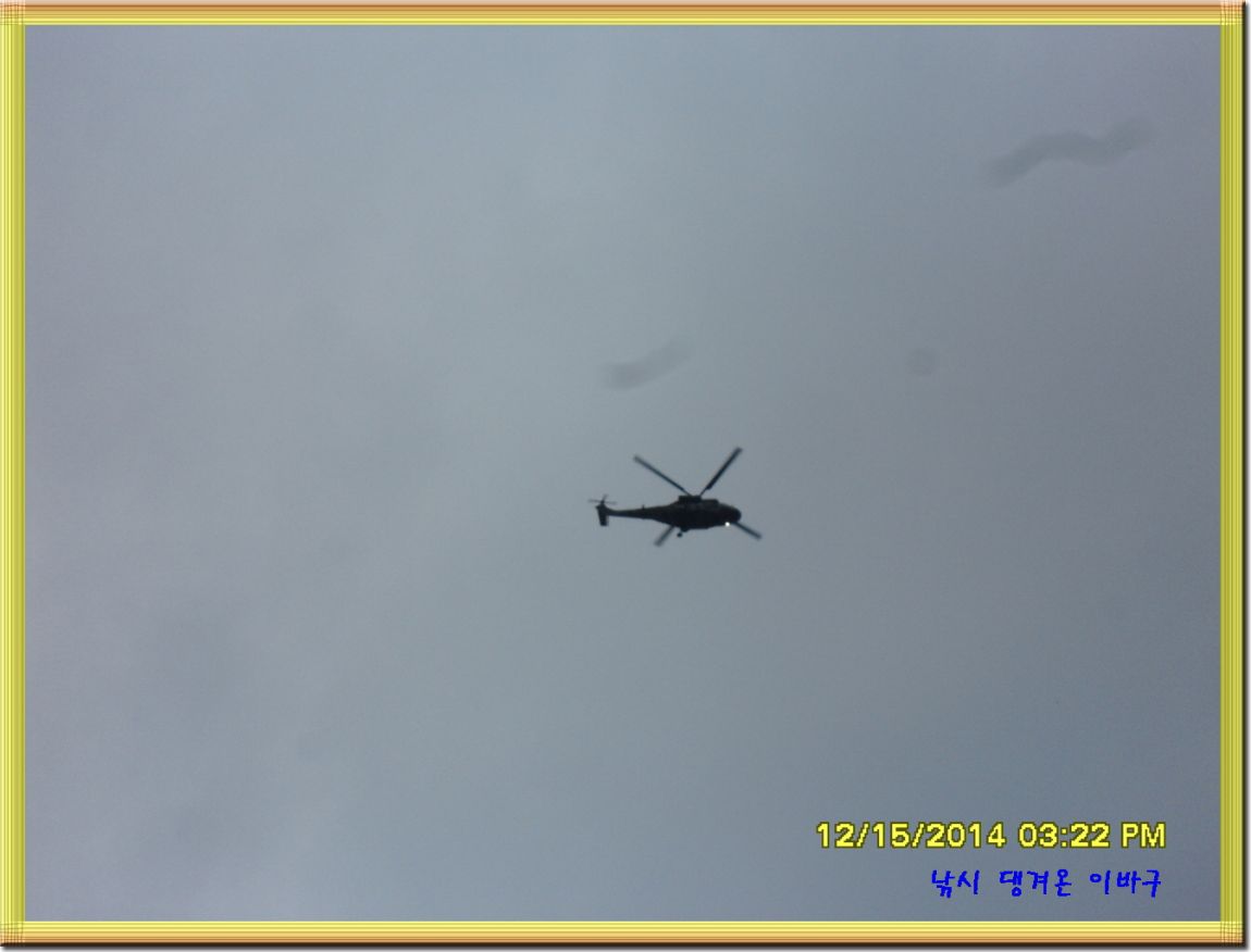 ٹ̱_SDC10486.jpg