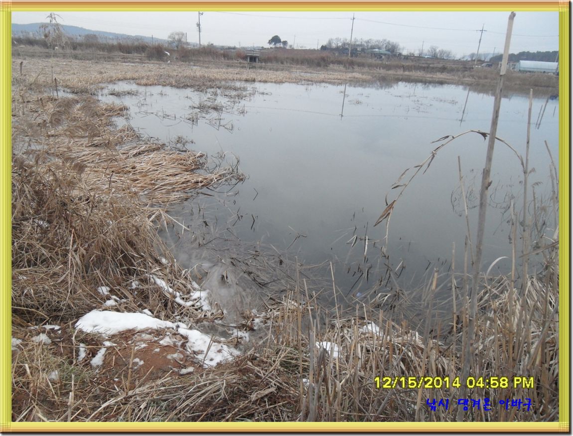 ٹ̱_SDC10491.jpg