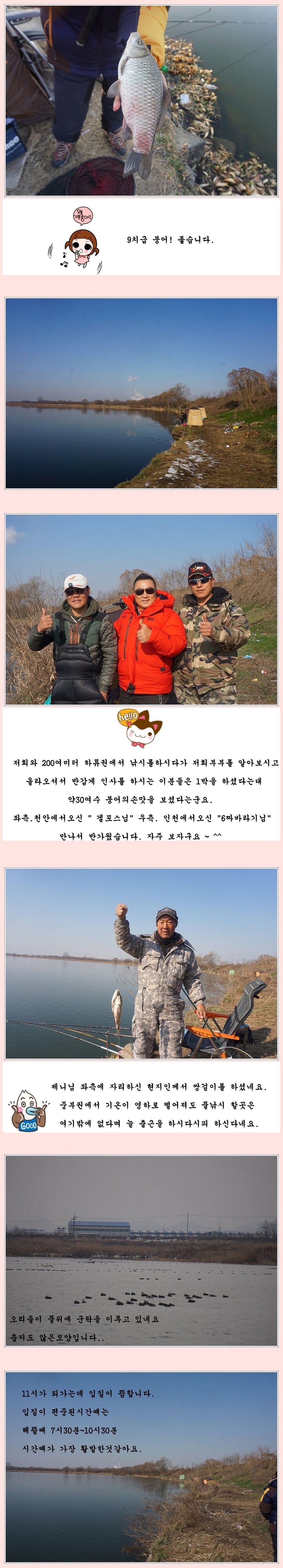 cats (25)-vert-vert.jpg