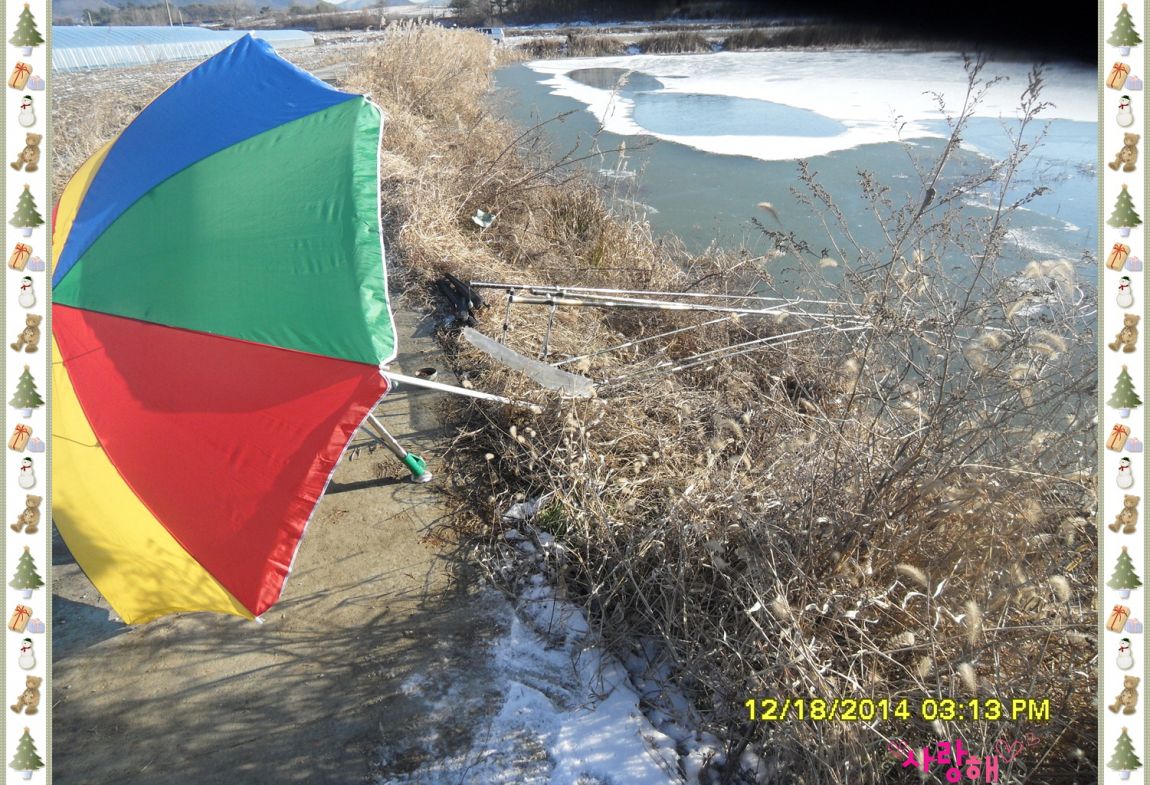 �ٹ̱�_SDC10520.jpg
