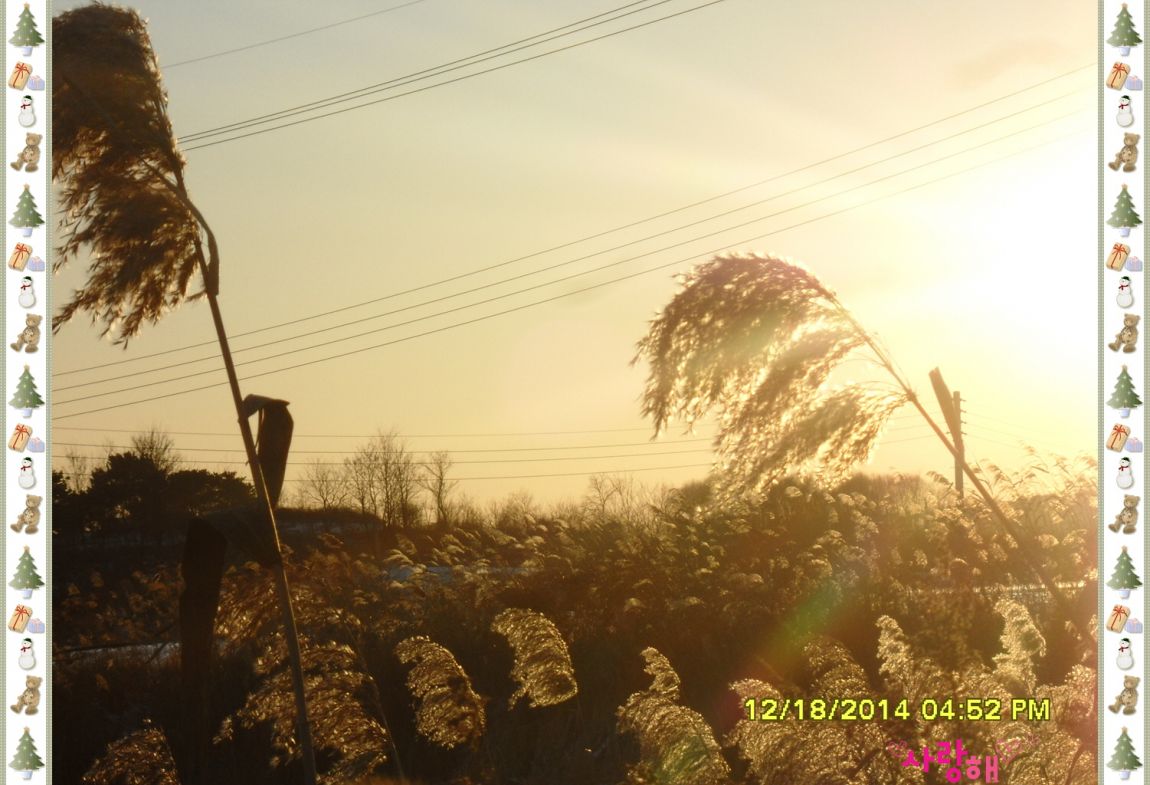 �ٹ̱�_SDC10531.jpg