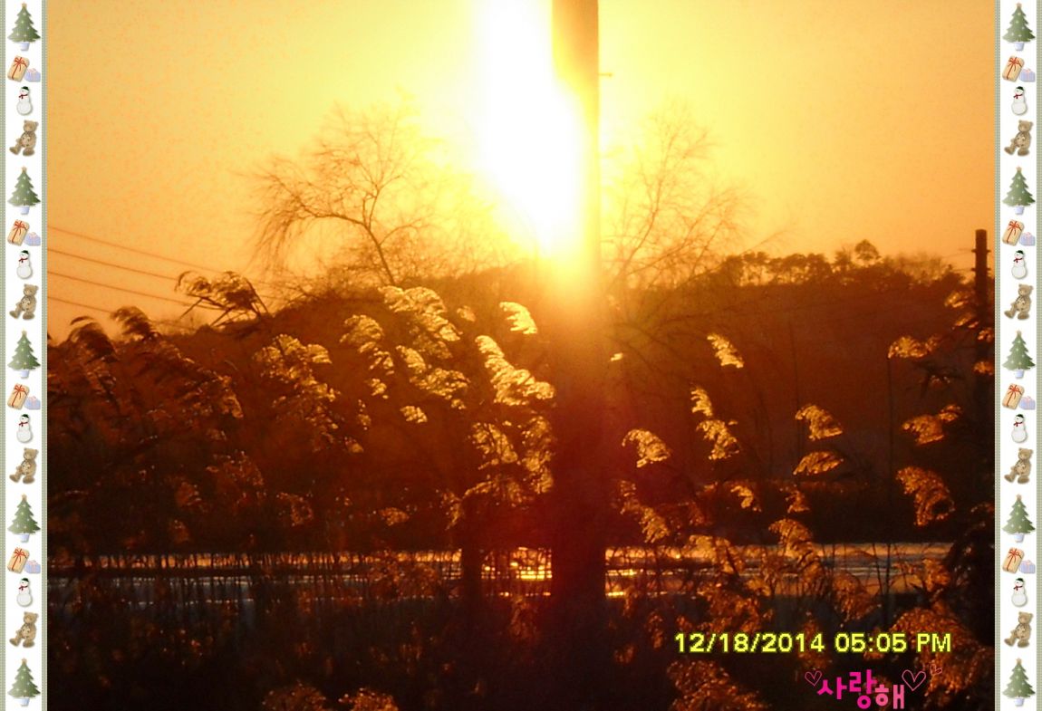 �ٹ̱�_SDC10532.jpg