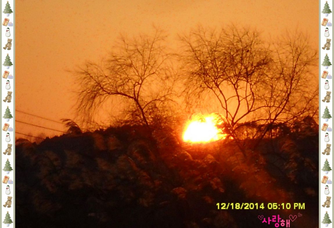 �ٹ̱�_SDC10534.jpg