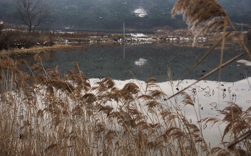 DSC01231-0.jpg