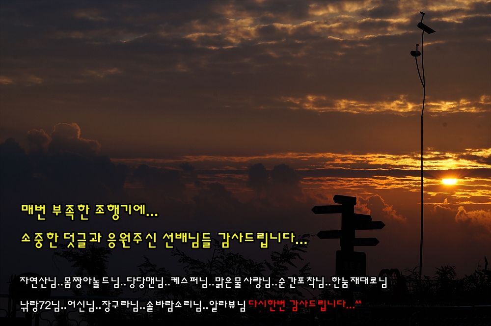 �纻 - DSC00244.jpg