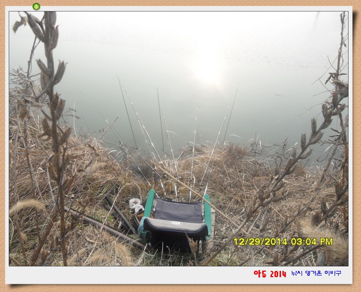 �ٹ̱�_SDC10590.jpg