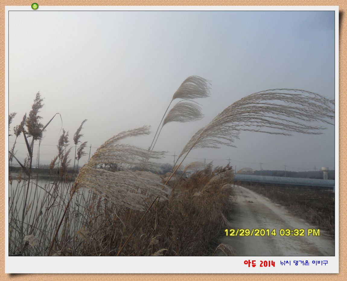 �ٹ̱�_SDC10591.jpg