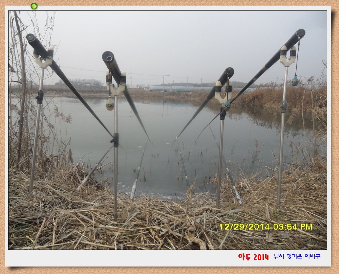 �ٹ̱�_SDC10592.jpg