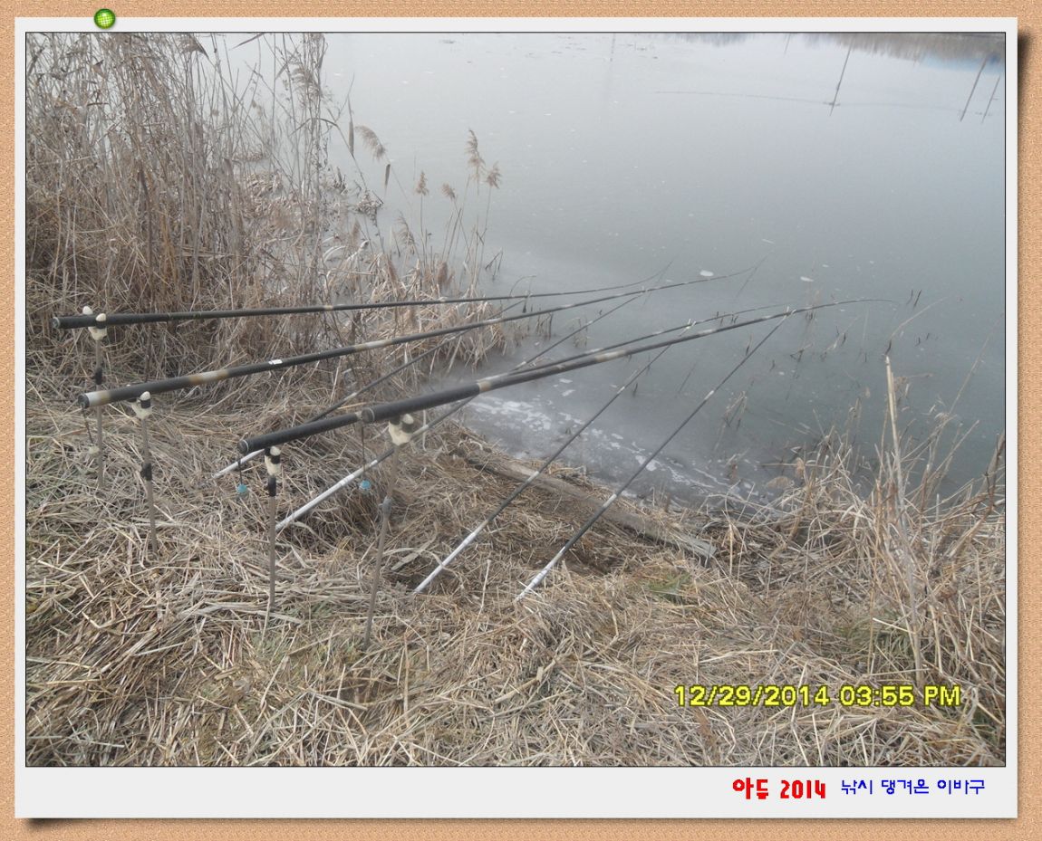 �ٹ̱�_SDC10593.jpg