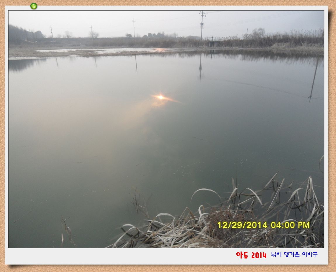�ٹ̱�_SDC10596.jpg