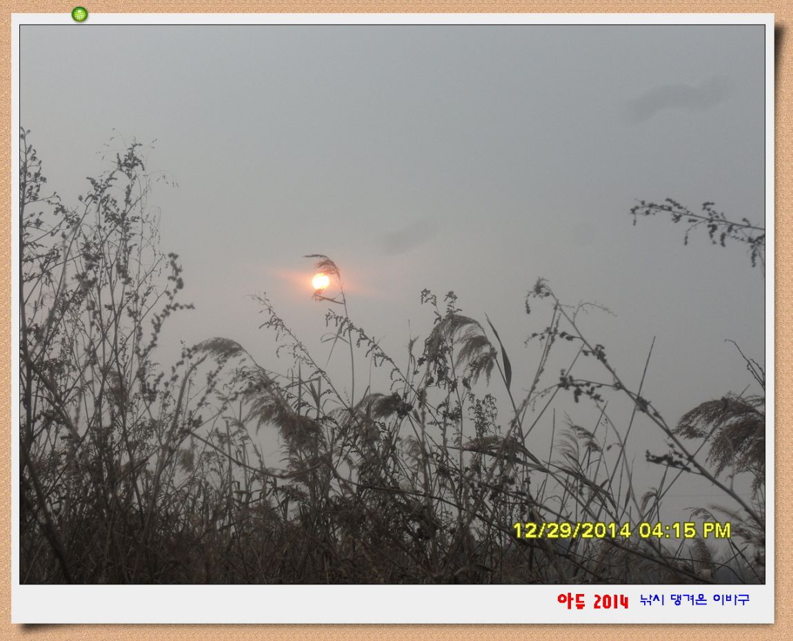 �ٹ̱�_SDC10597.jpg