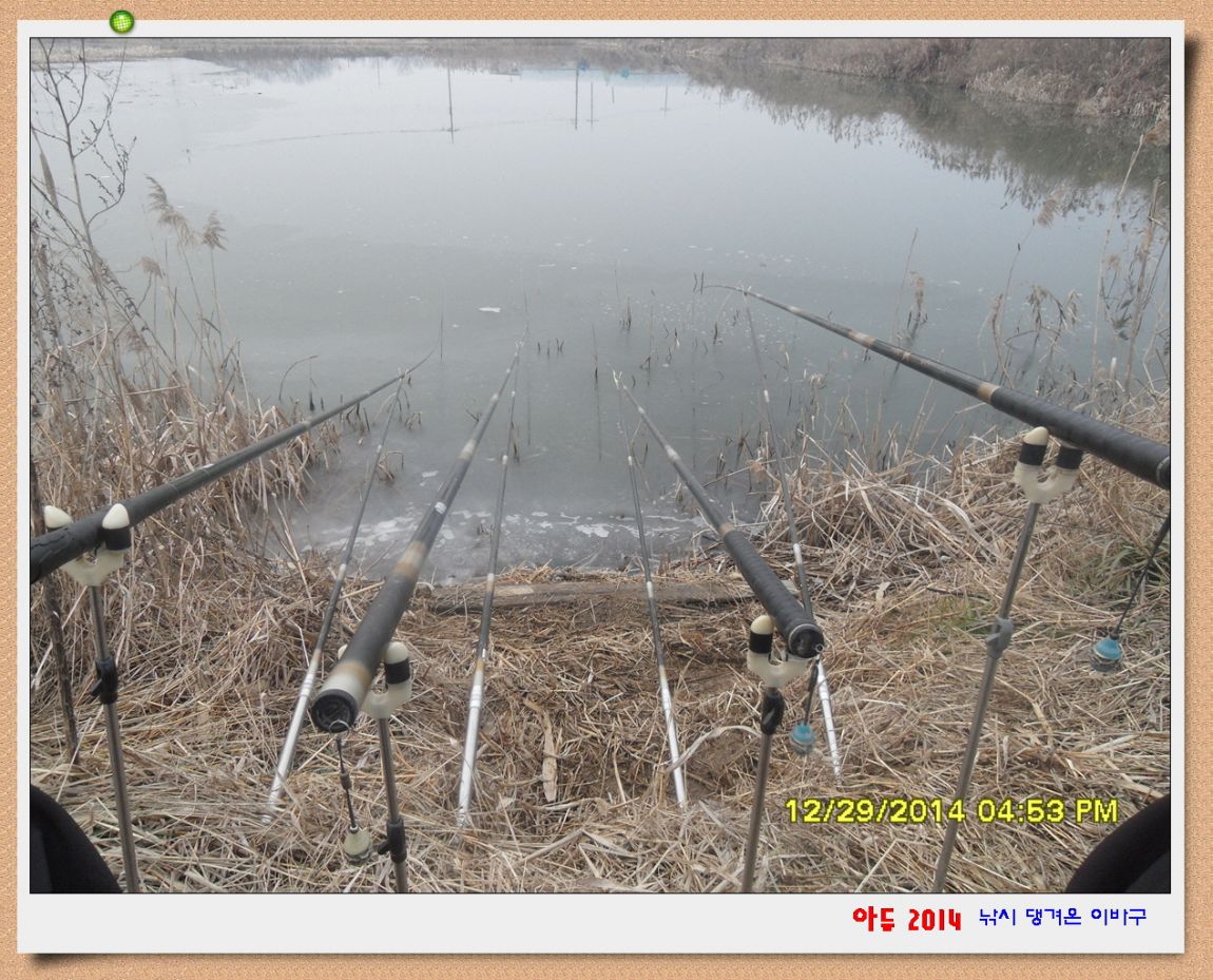 �ٹ̱�_SDC10601.jpg