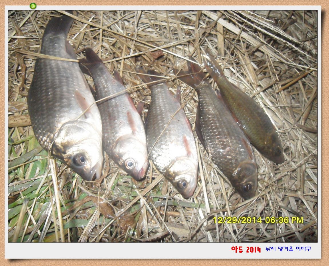 �ٹ̱�_SDC10605.jpg