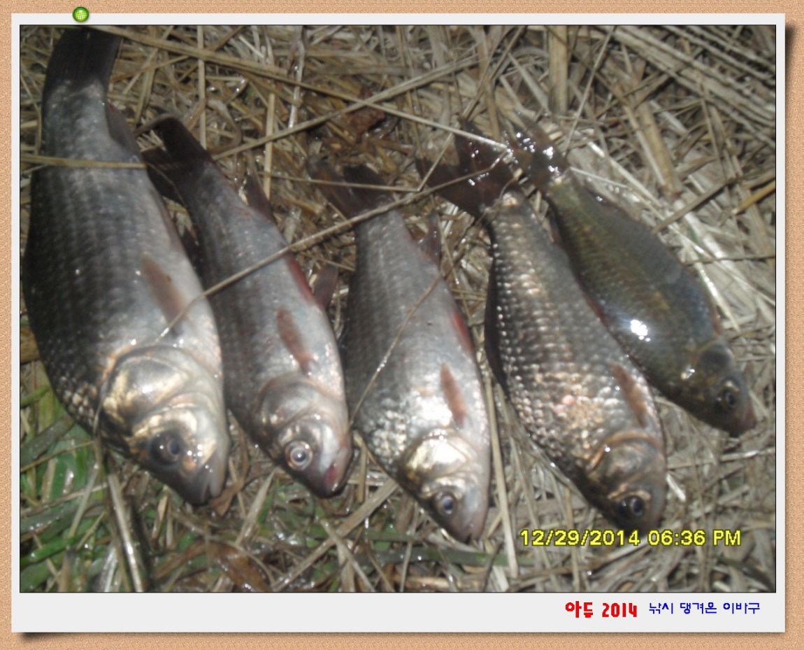 �ٹ̱�_SDC10606.jpg