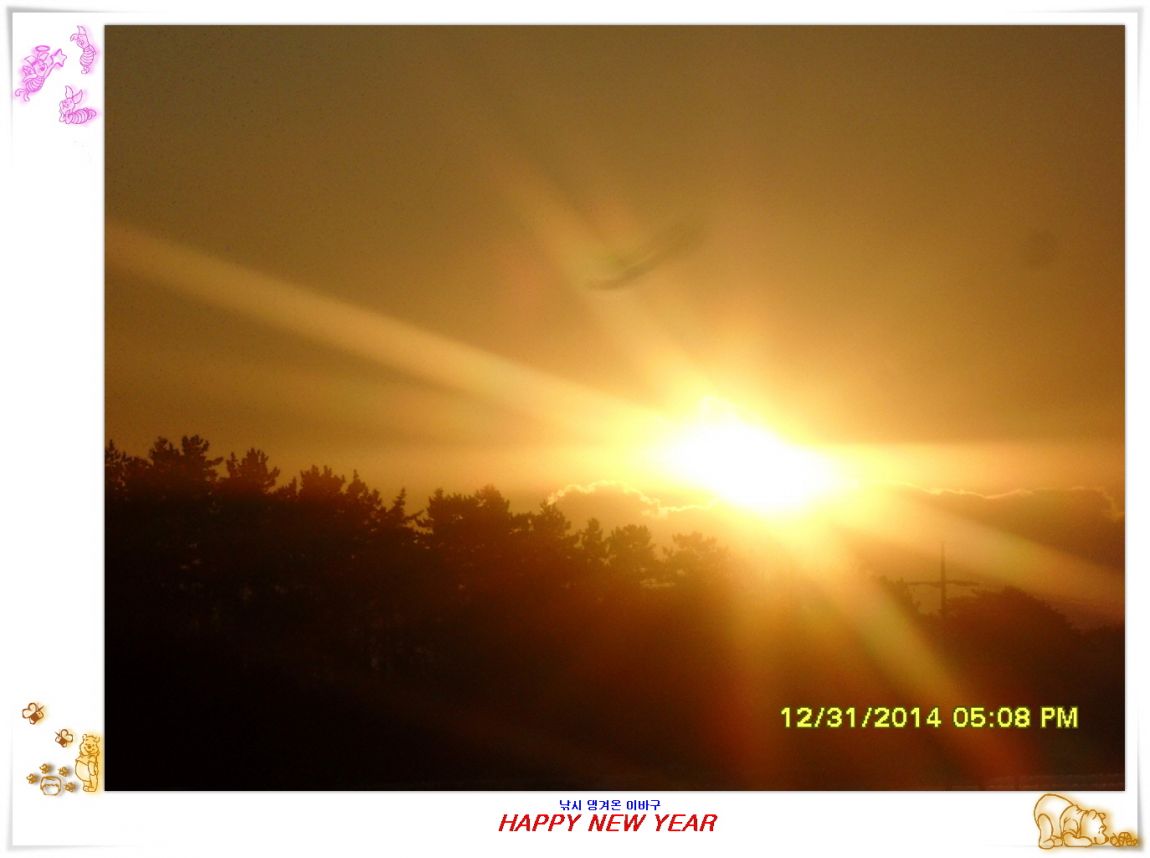 �ٹ̱�_�ٹ̱�_SDC10645.jpg