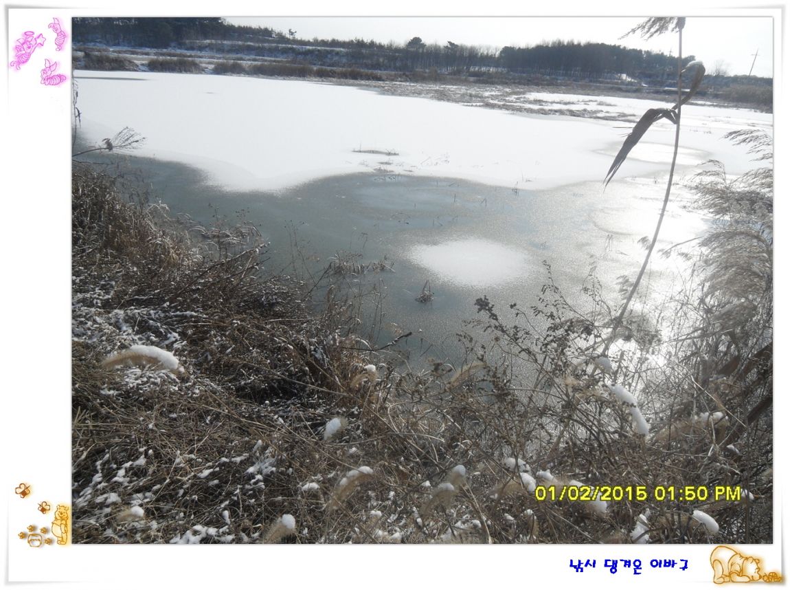 �ٹ̱�_SDC10661.jpg