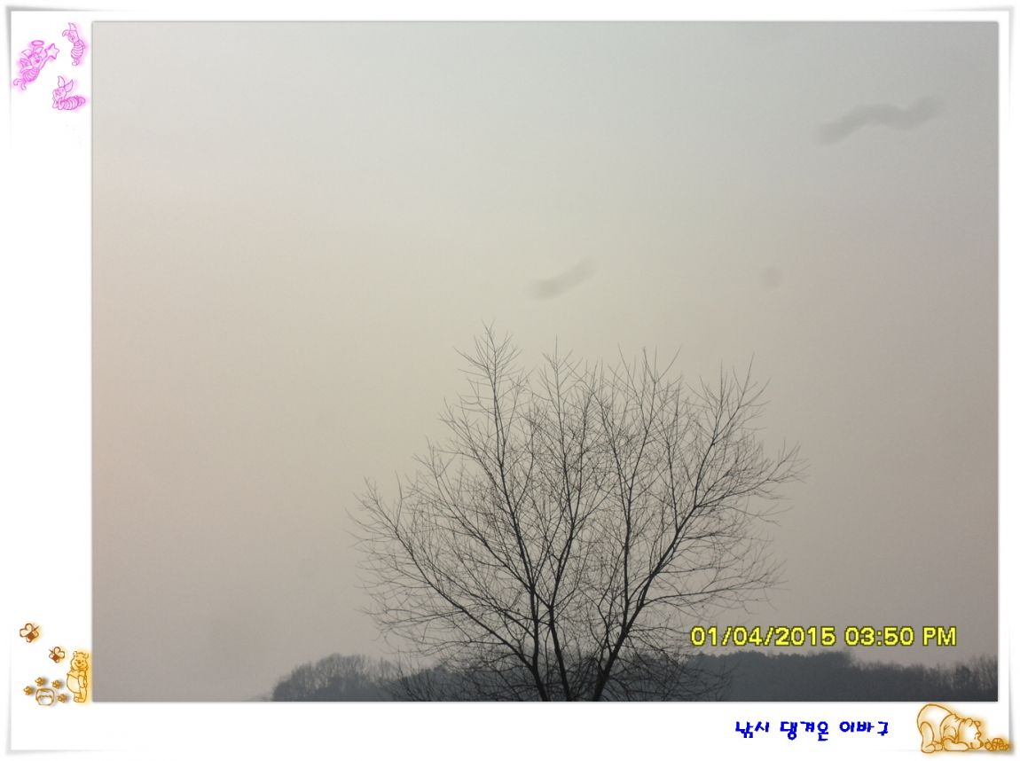 �ٹ̱�_SDC10673.jpg