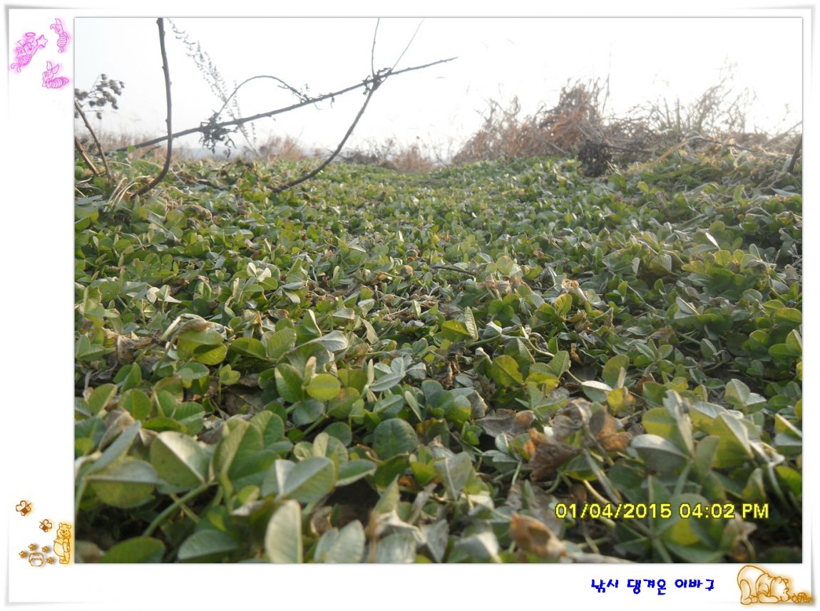 �ٹ̱�_SDC10678.jpg