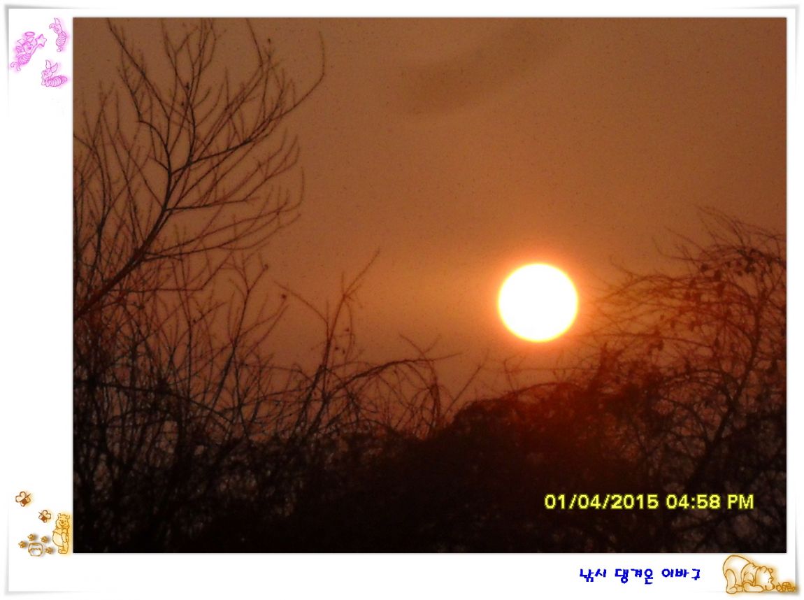 �ٹ̱�_SDC10683.jpg