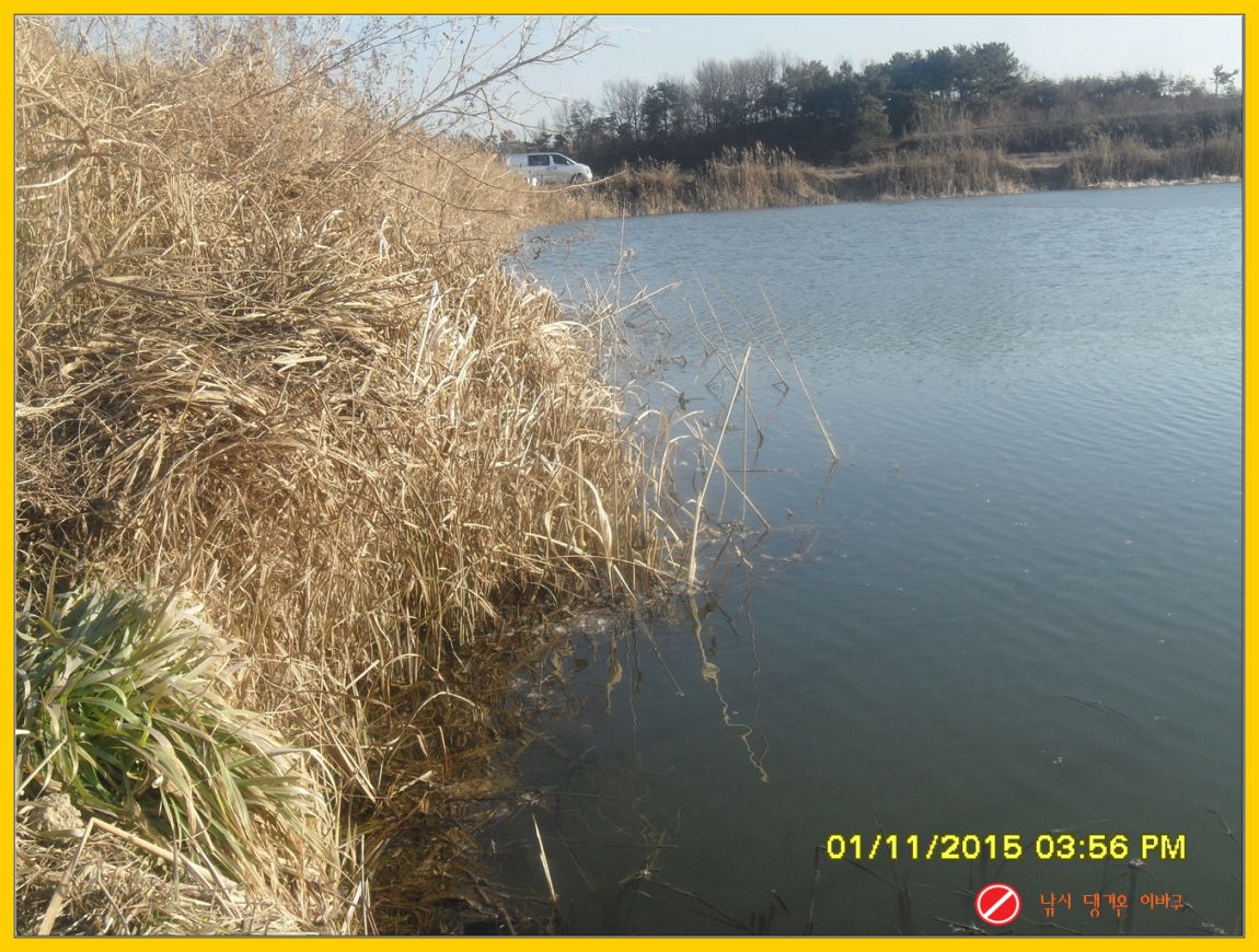ٹ̱_ٹ̱_SDC10898.jpg