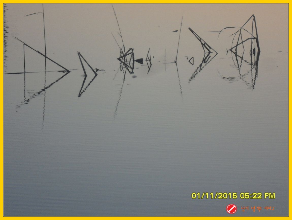 ٹ̱_ٹ̱_SDC10908.jpg