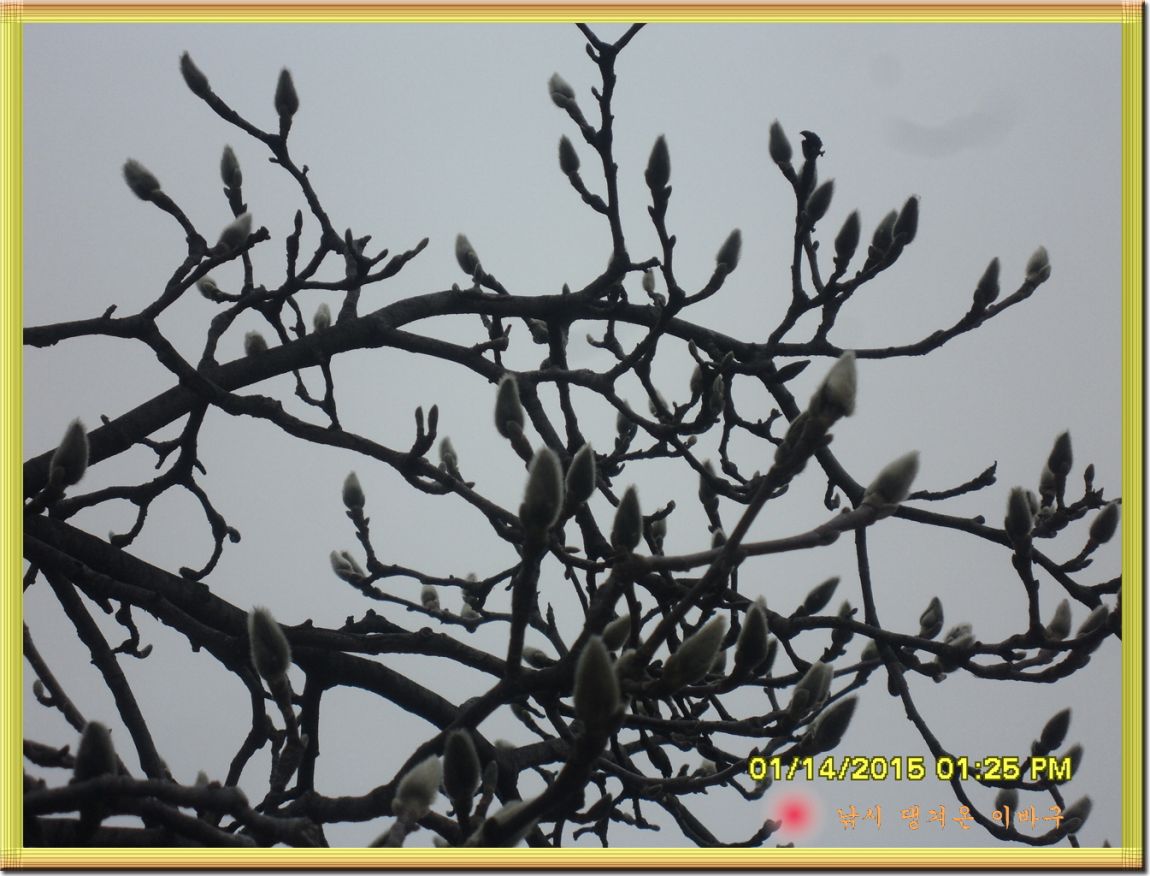 �ٹ̱�_SDC10992.jpg