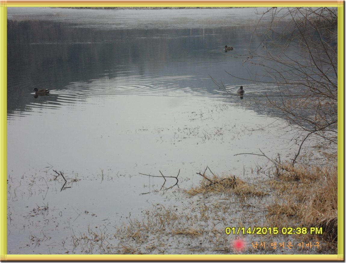 �ٹ̱�_SDC10999.jpg