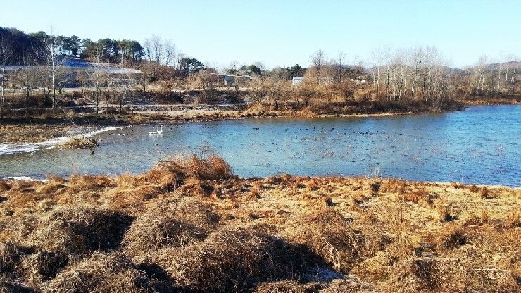 73.jpg
