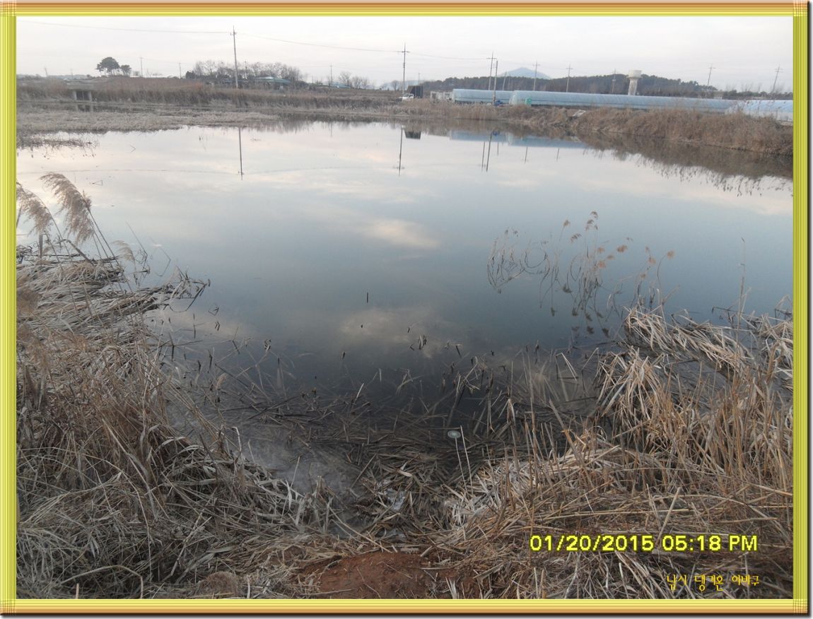 �ٹ̱�_SDC11199.jpg