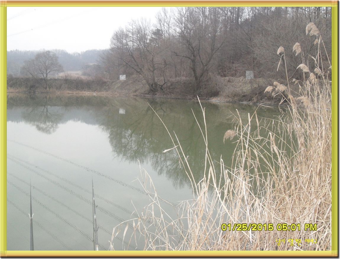 ٹ̱_SDC11287.jpg