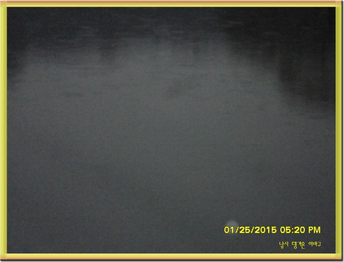 ٹ̱_SDC11292.jpg