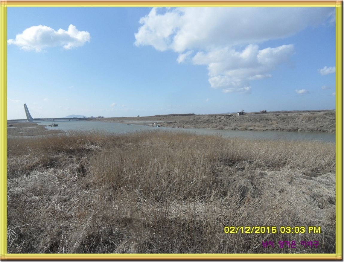 �ٹ̱�_SDC11648.jpg