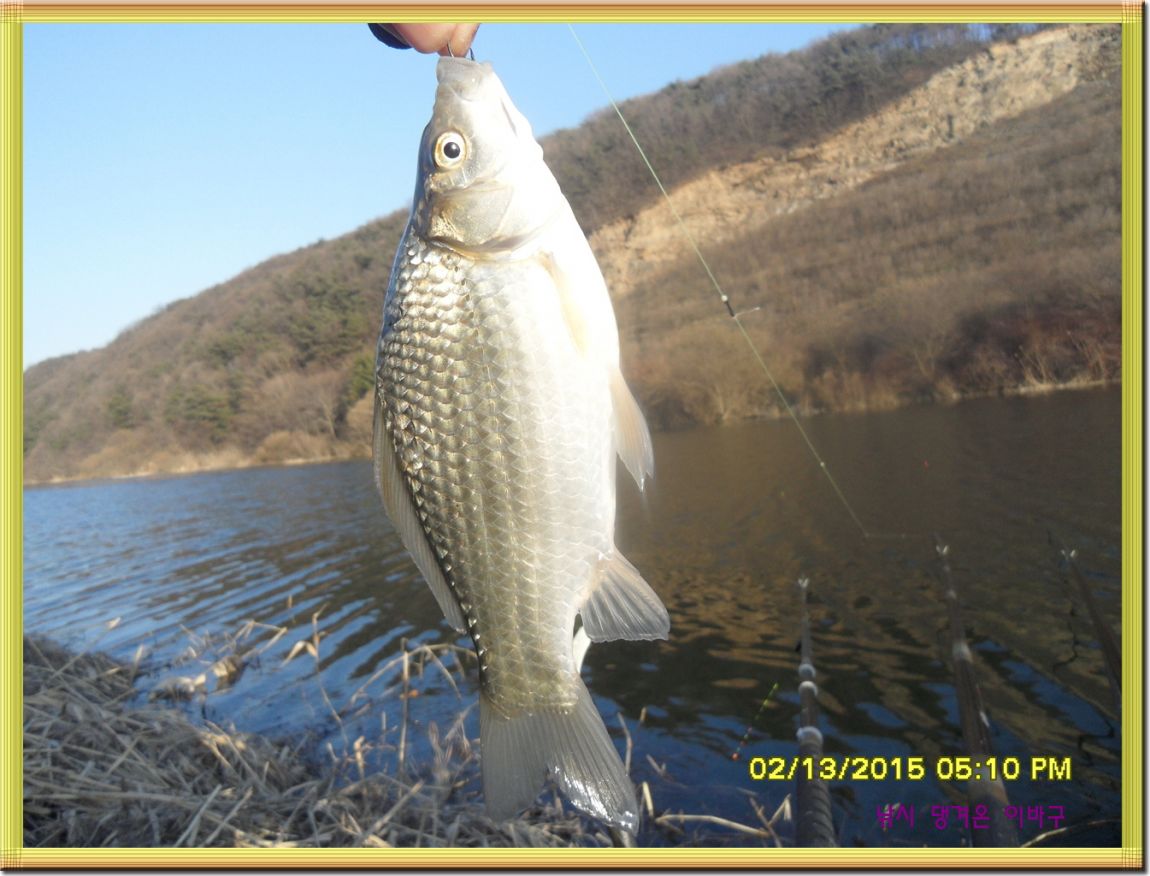 �ٹ̱�_SDC11673.jpg