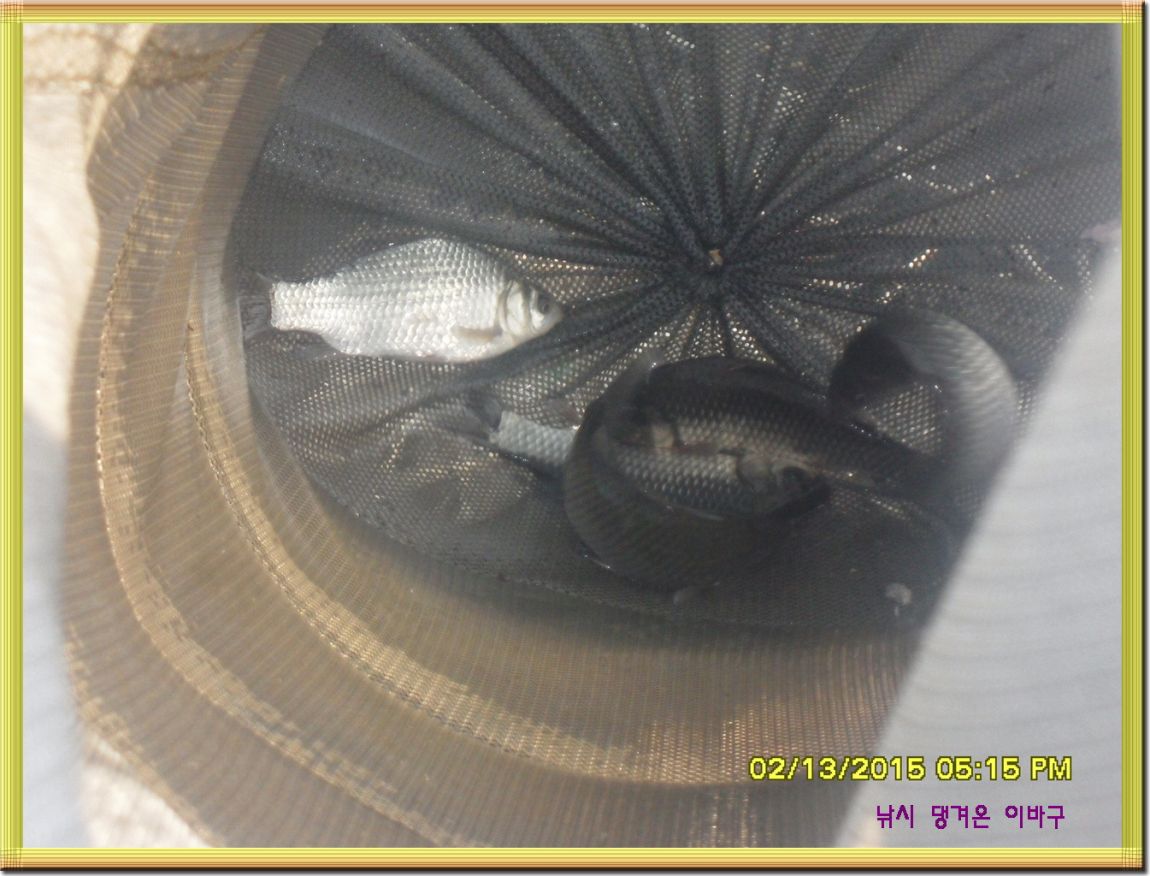 �ٹ̱�_SDC11675.jpg