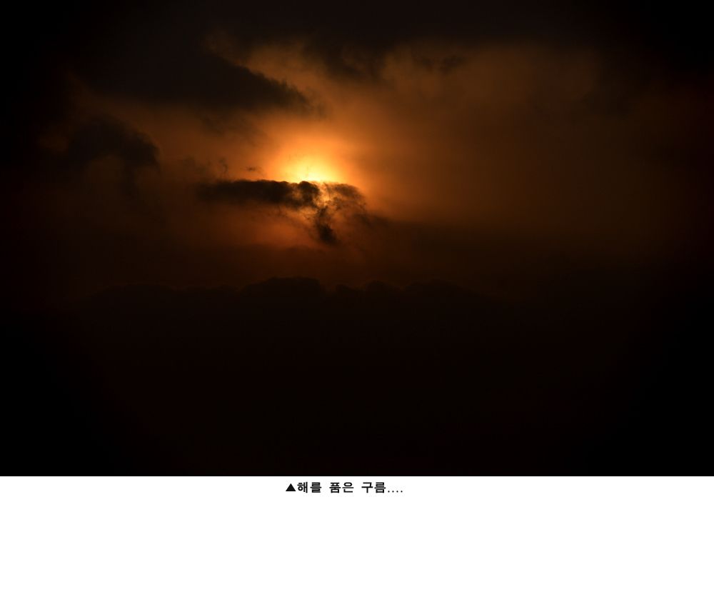 csh7719.jpg